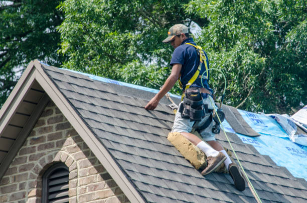 Best Roof Gutter Cleaning  in Marathon, FL